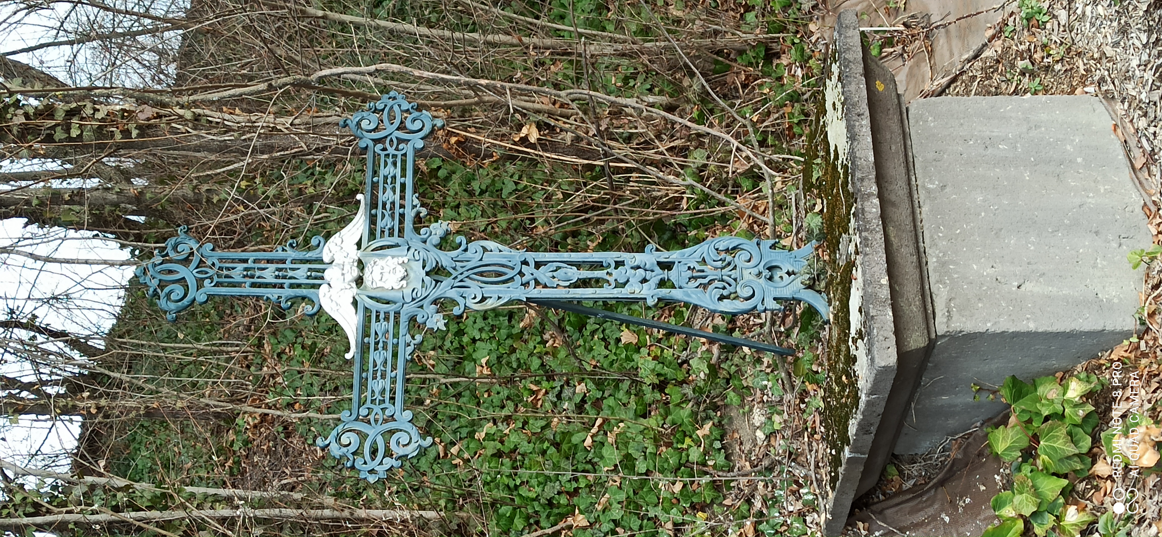 IMG 20240207 111651