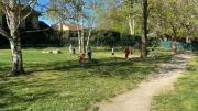 IMG-20260410-WA0006