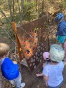 IMG-20260410-WA0017